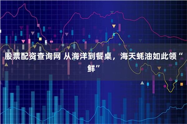 股票配资查询网 从海洋到餐桌，海天蚝油如此领“鲜”