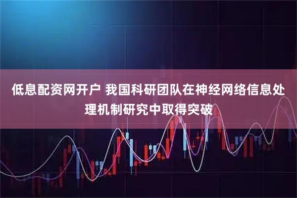低息配资网开户 我国科研团队在神经网络信息处理机制研究中取得突破